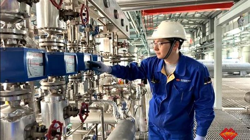 兽用离心机转子：如何根据需求精准选型